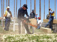 woodchoppers jamboree encampment wyoming picture