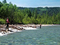 fishing in wyoming picture